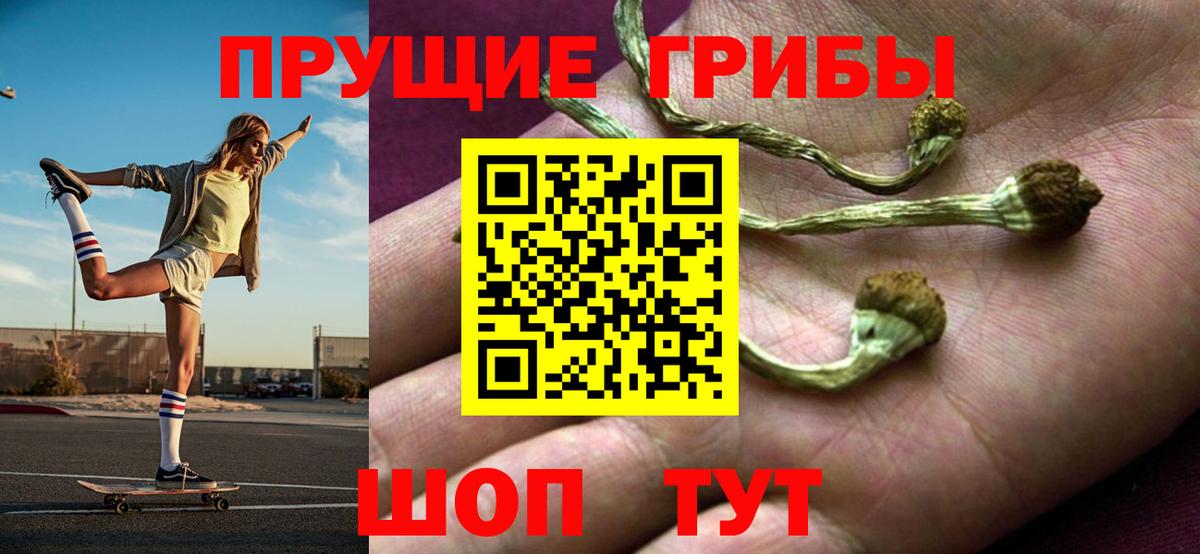 Галлюциногенные грибы Psilocybe Протвино