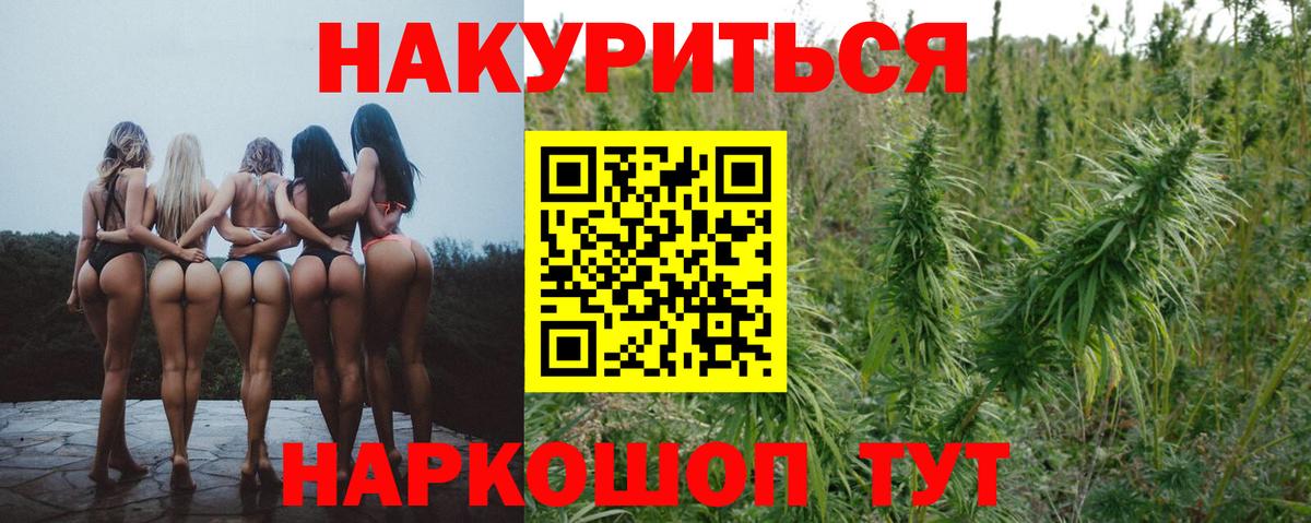 Бошки Шишки семена Протвино